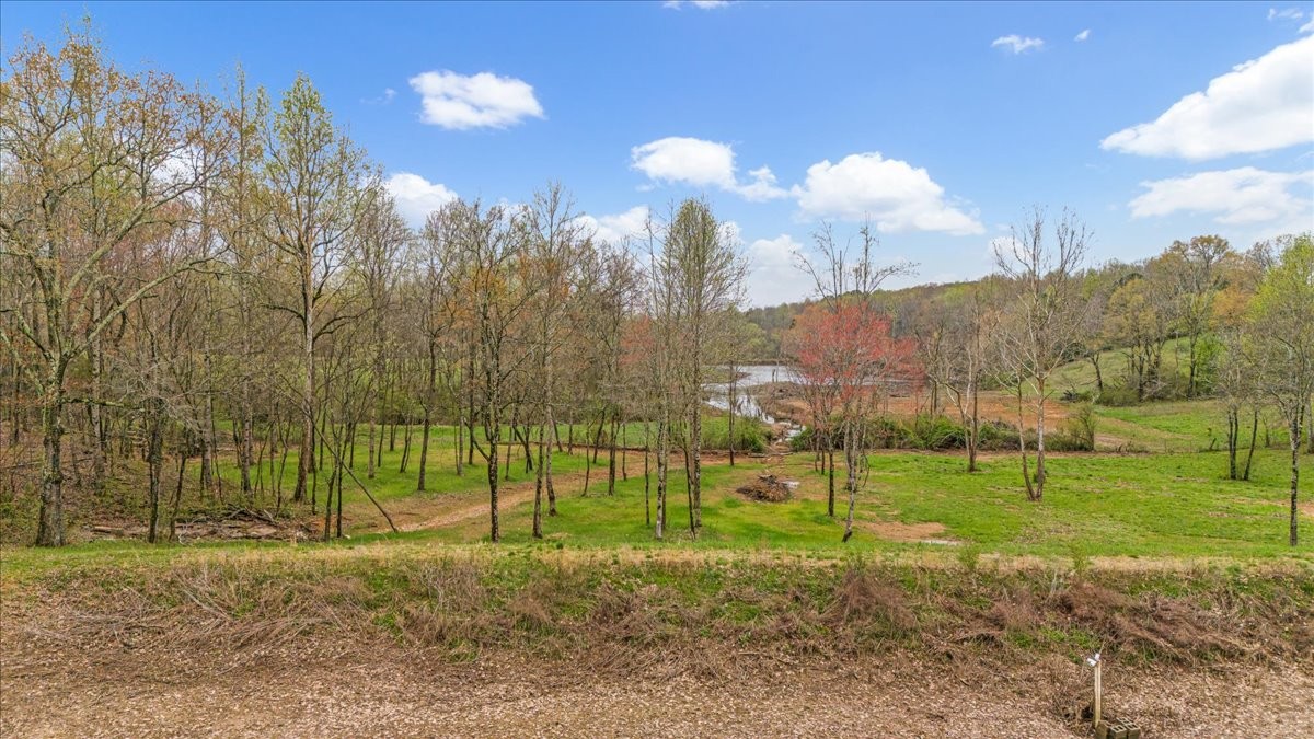 48 Mt Lebanon Road Lawrenceburg, TN 38464 - Photo 61 of 85 a view of a park