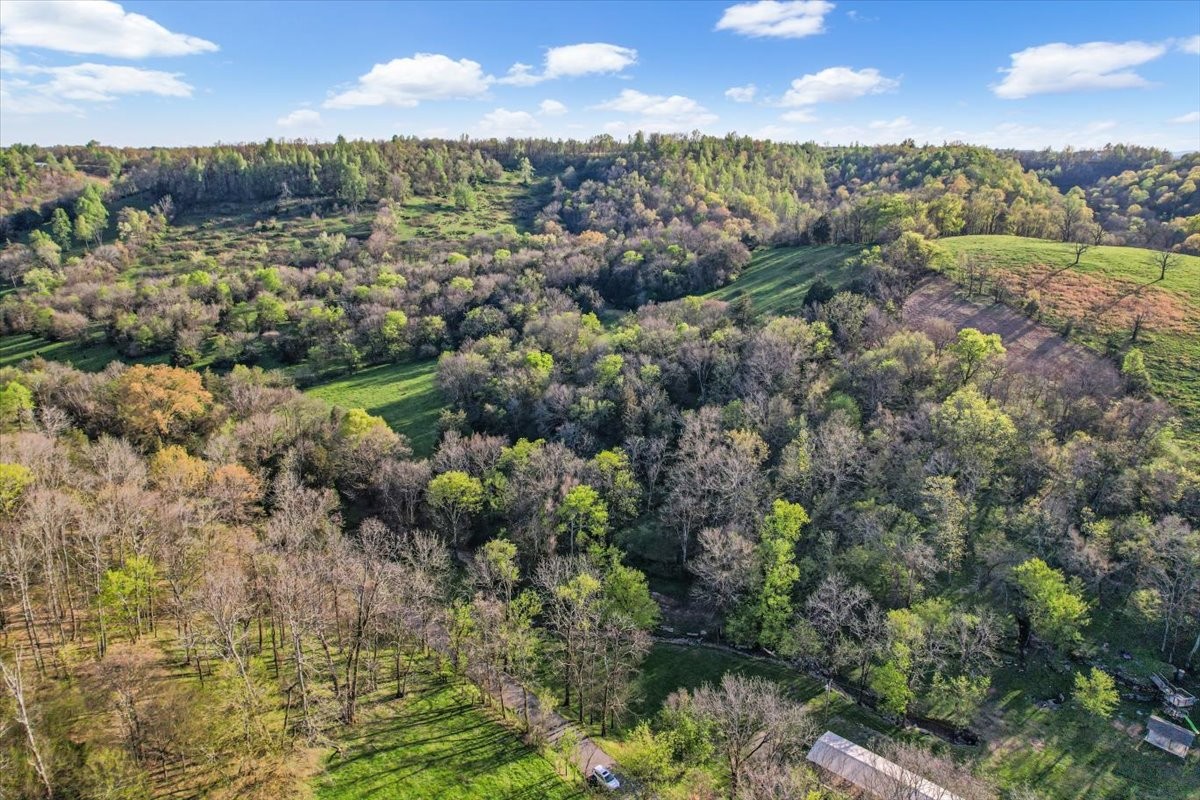 48 Mt Lebanon Road Lawrenceburg, TN 38464 - Photo 80 of 85