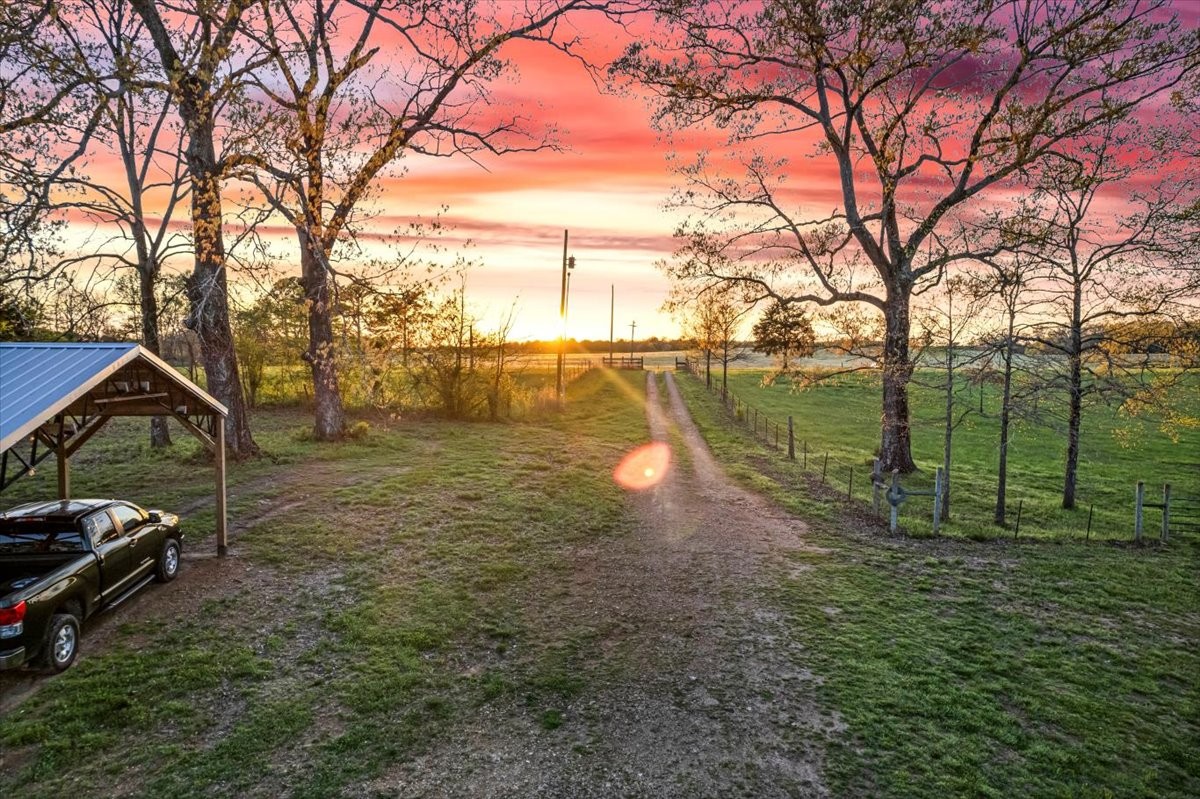 48 Mt Lebanon Road Lawrenceburg, TN 38464 - Photo 85 of 85 a view of a backyard