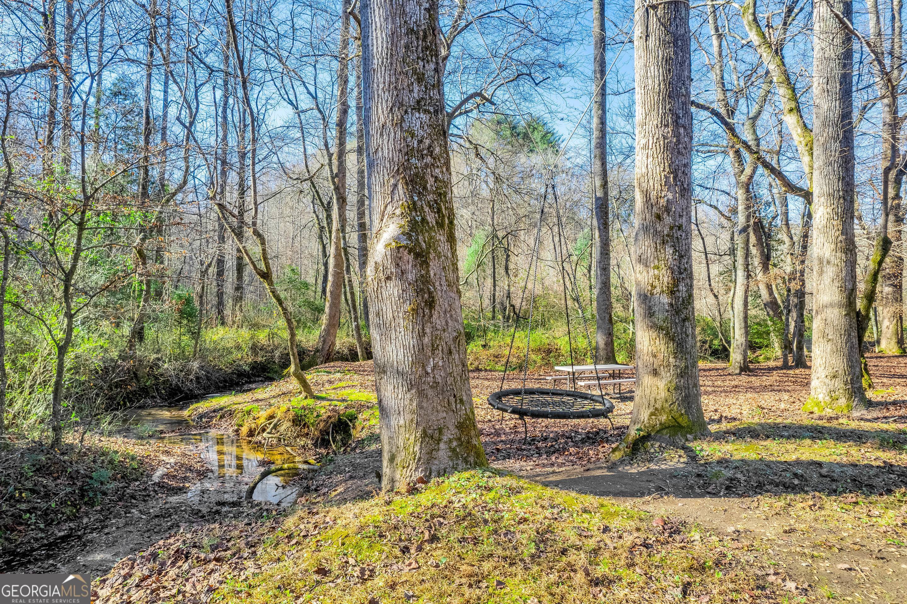 284 Duncan Bridge Road Sautee Nacoochee, GA 30571 - Photo 56 of 69 a view of a yard with plants and trees