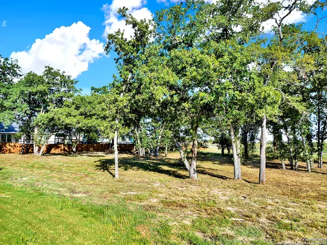 a view of park with large trees