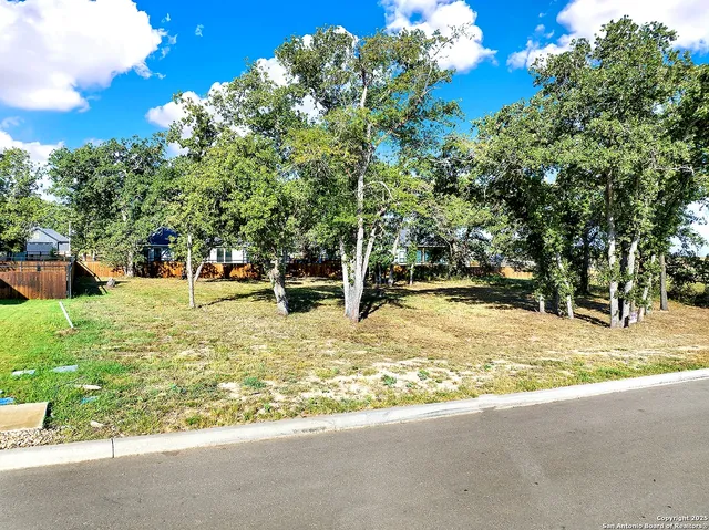 a view of yard with swimming pool