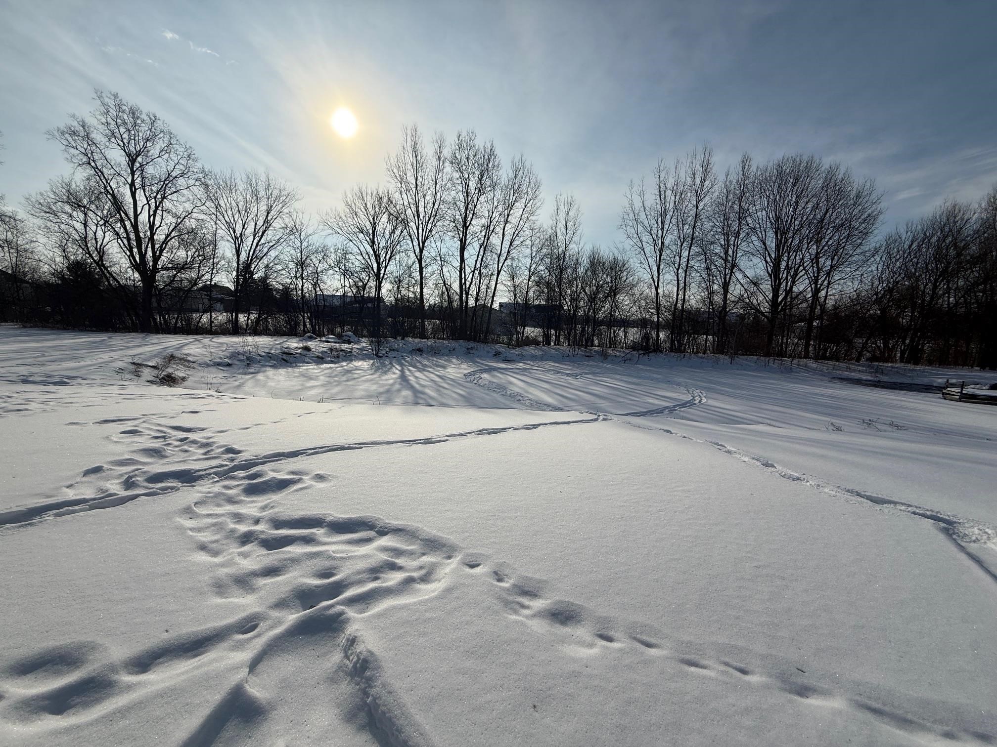 12160 Neff Road Clio, MI 48420 - Photo 6 of 62