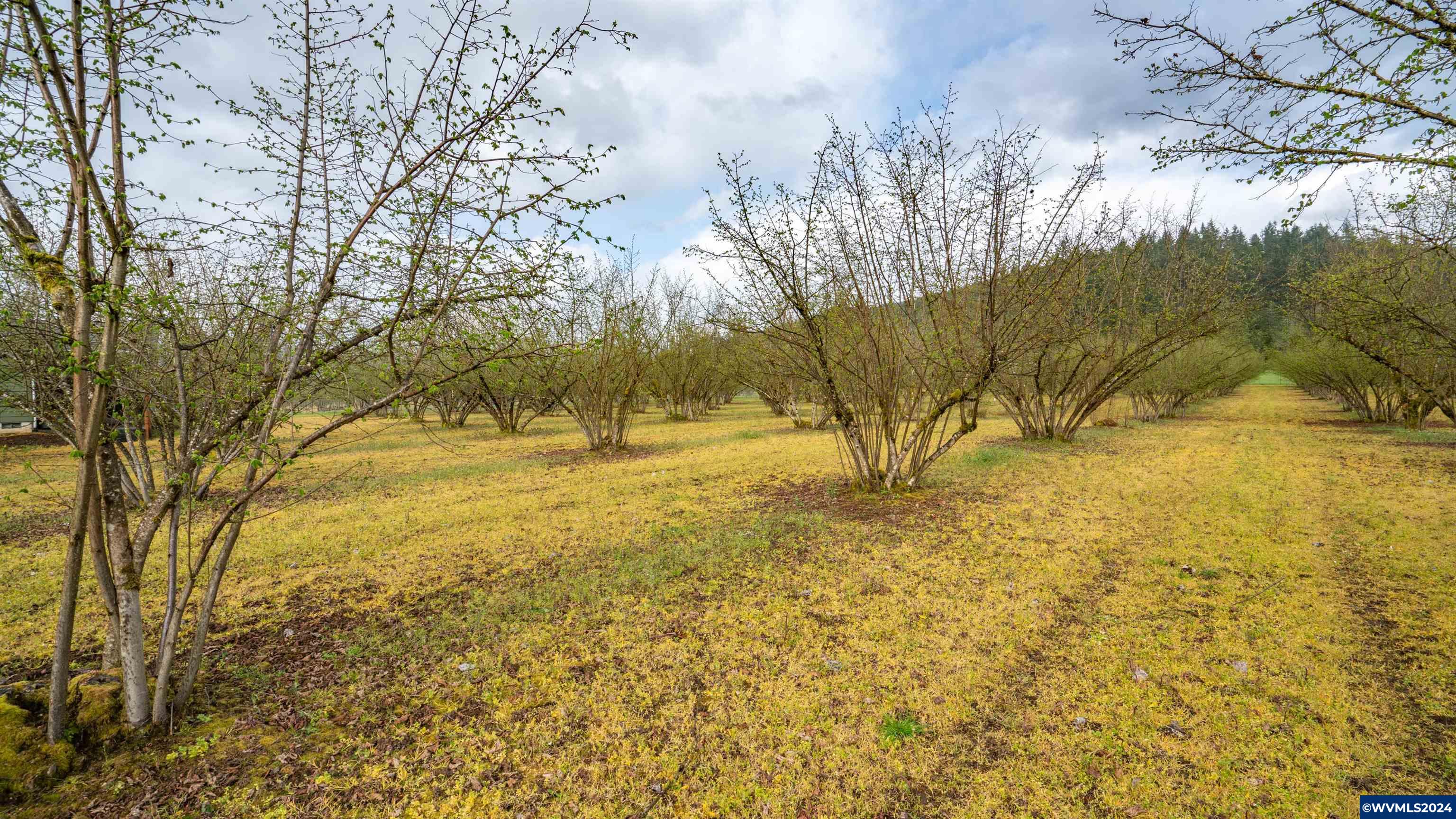 37082 Goats Road Springfield, OR 97478 - Photo 33 of 35
