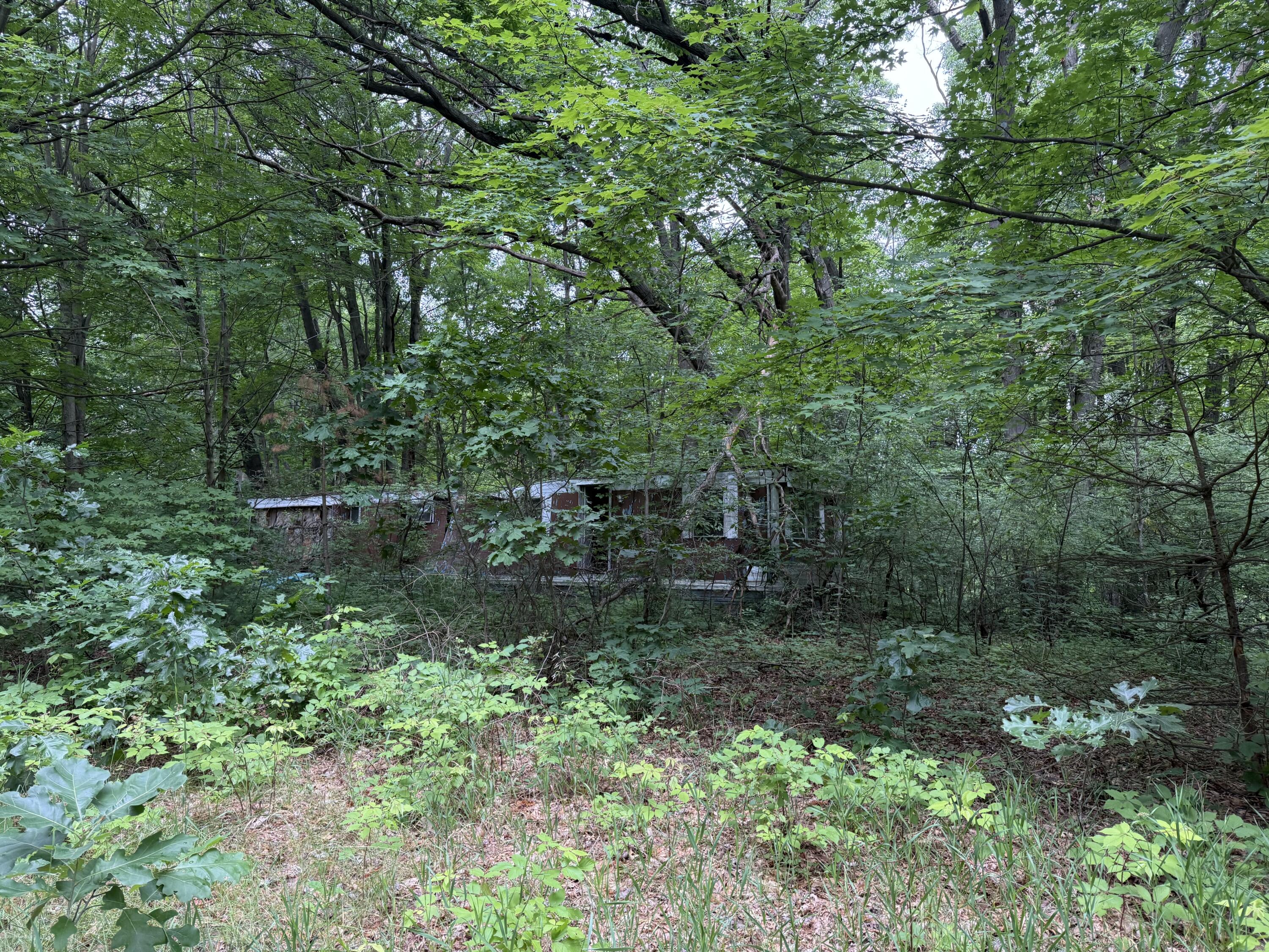 23250 West Wood Lake Road Pierson, MI 49339 - Photo 9 of 9 IMG_0250