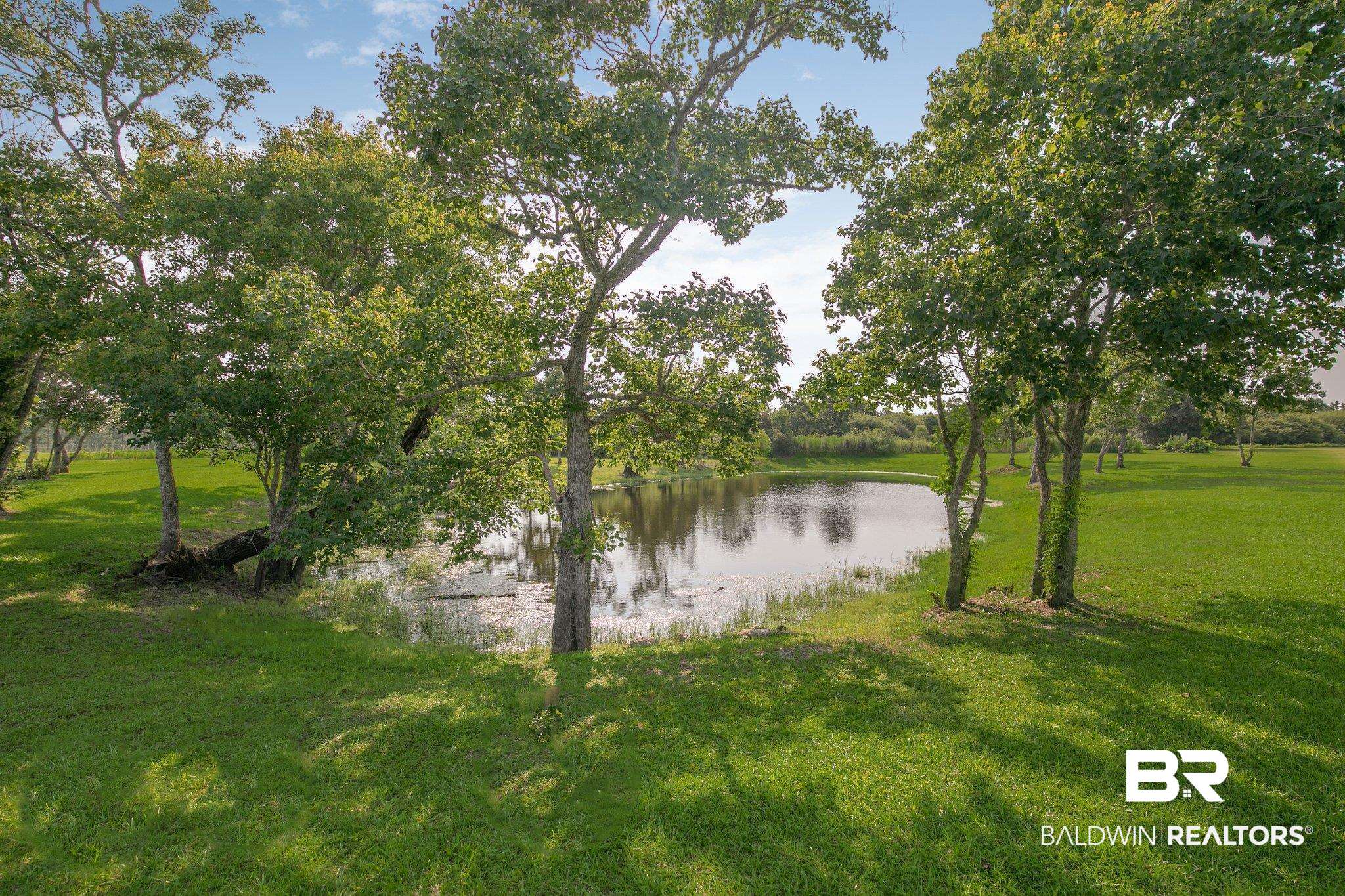 9761 Stucki Road Elberta, AL 36530 - Photo 10 of 33
