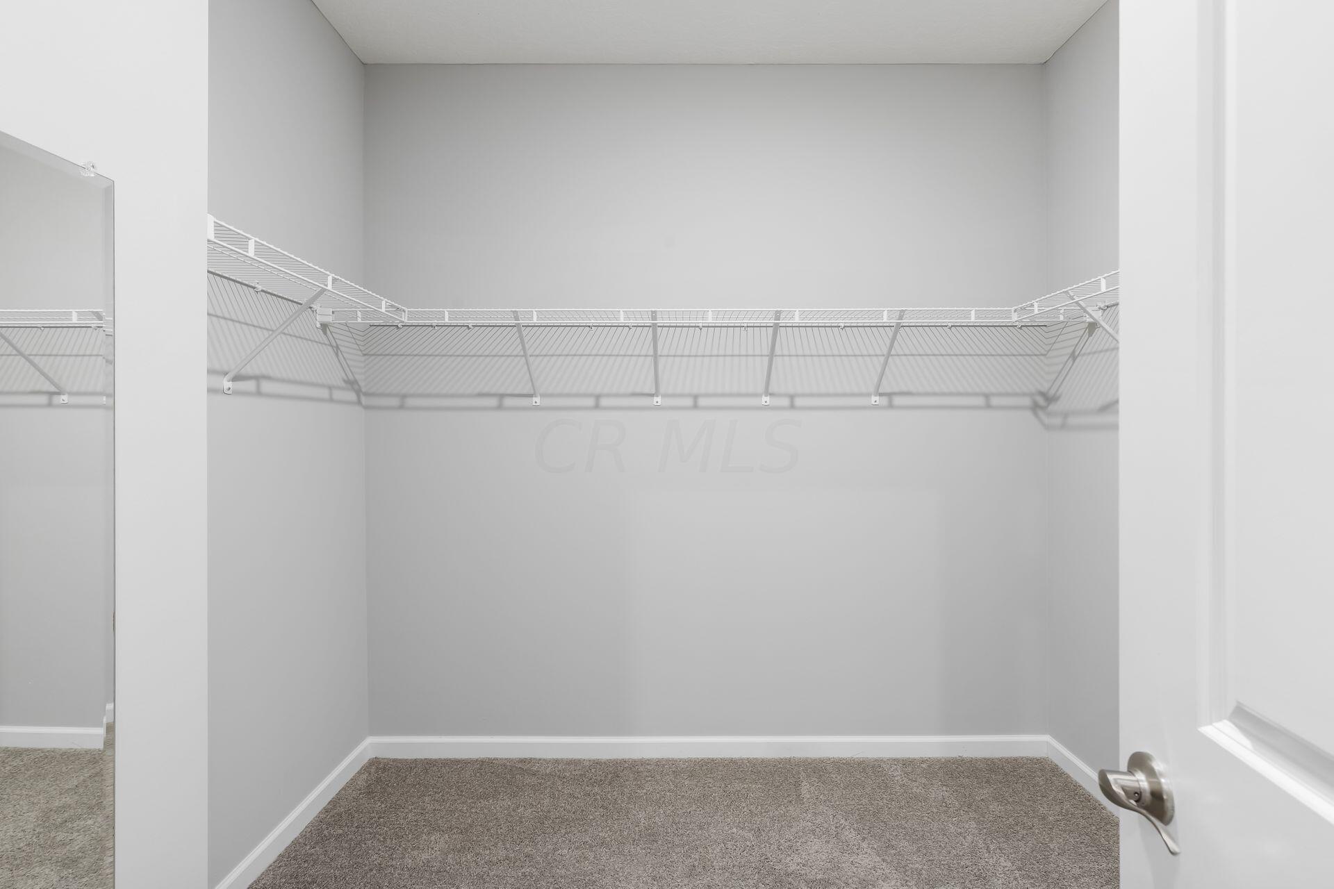 316 Blue Ridge Ostrander, OH 43061 - Photo 16 of 28 Owner's Walk-in Closet