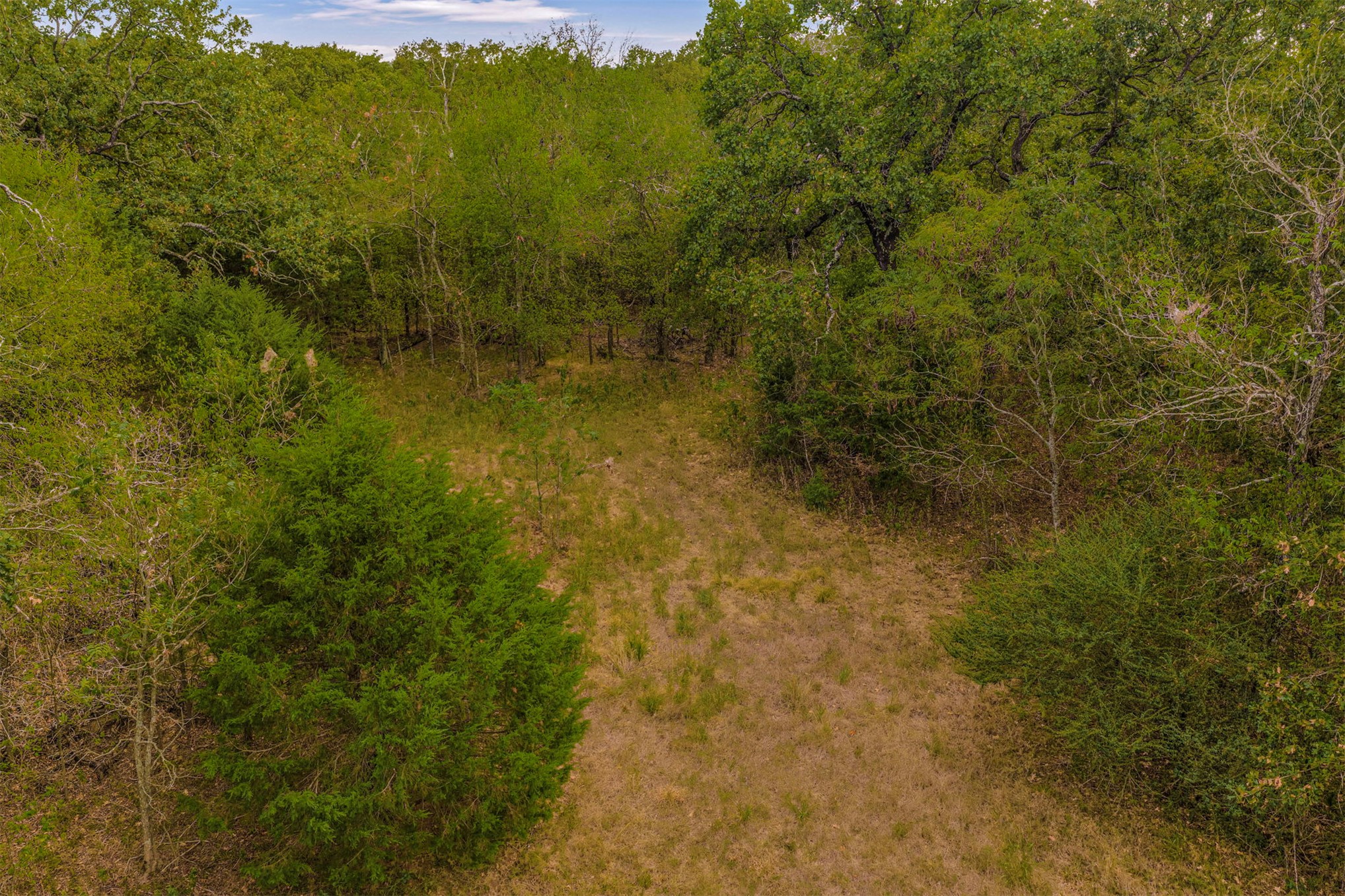 King Road Claremore, OK 74019 - Photo 17 of 45 Wooded lot with abundant mature trees and natural ground cover