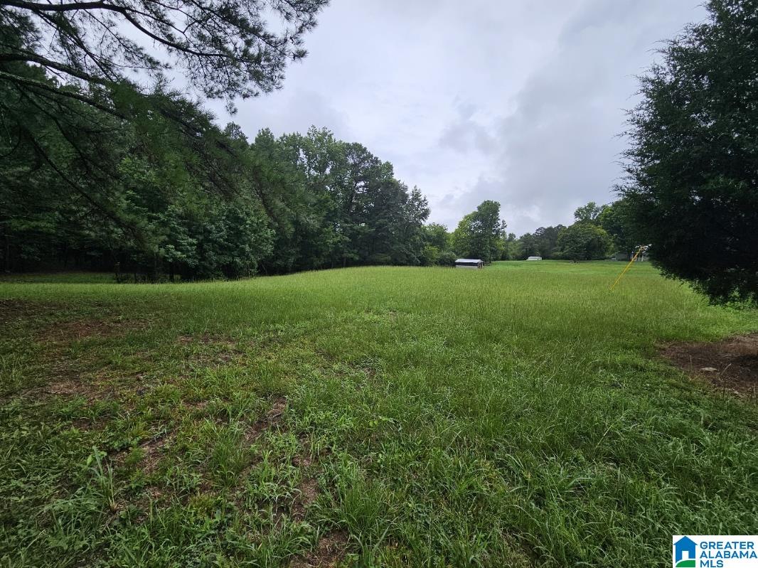 0 James Taylor Road Moody, AL 35004 - Photo 1 of 5