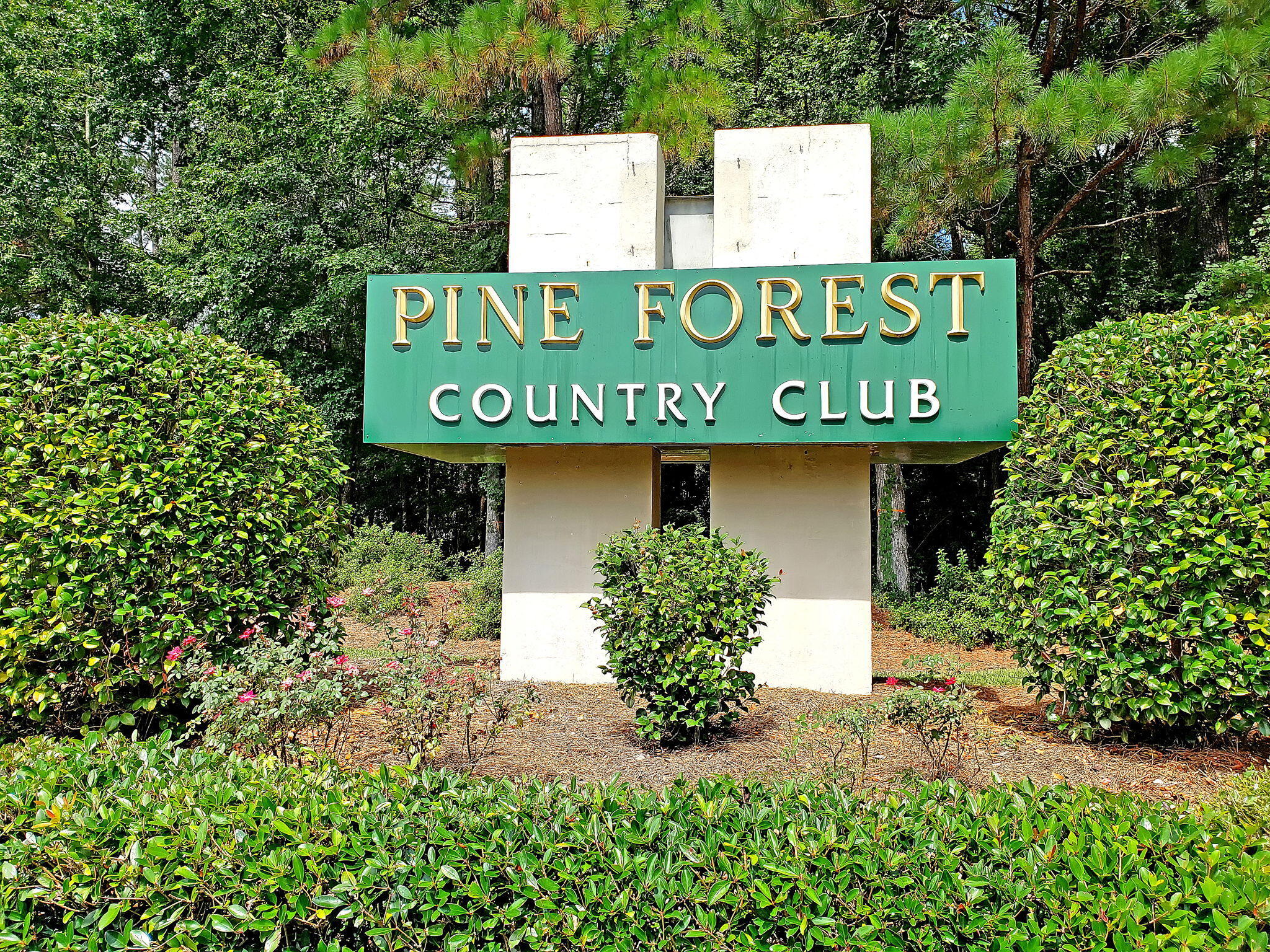 112 Riviera Drive Summerville, SC 29483 - Photo 41 of 60 CREM_PineForest_001