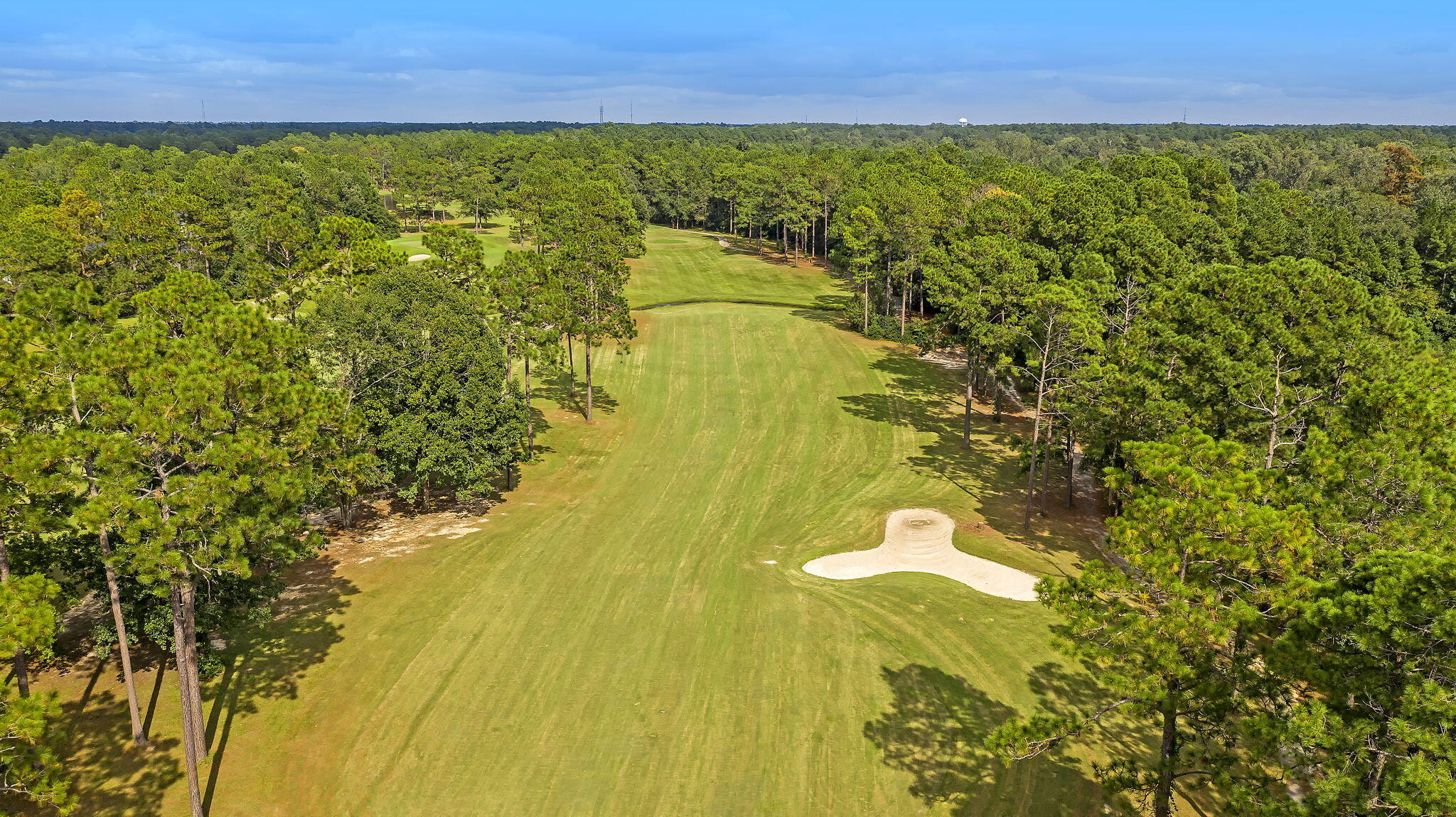 112 Riviera Drive Summerville, SC 29483 - Photo 50 of 60 CREM_PineForest_010