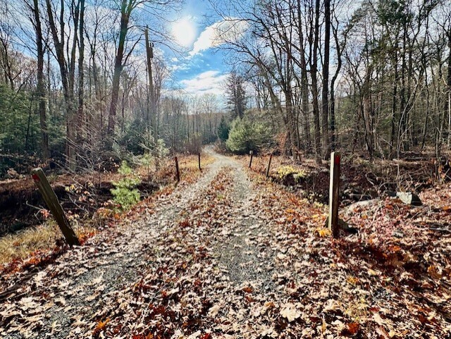 567 Firetown Road Simsbury, CT 06070 - Photo 2 of 39 a view of a forest with lots of trees