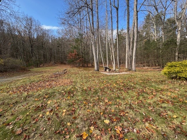 567 Firetown Road Simsbury, CT 06070 - Photo 33 of 39 a view of a yard with trees