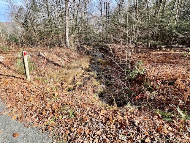 567 Firetown Road Simsbury, CT 06070 - Photo 36 of 39 a view of outdoor space and a yard