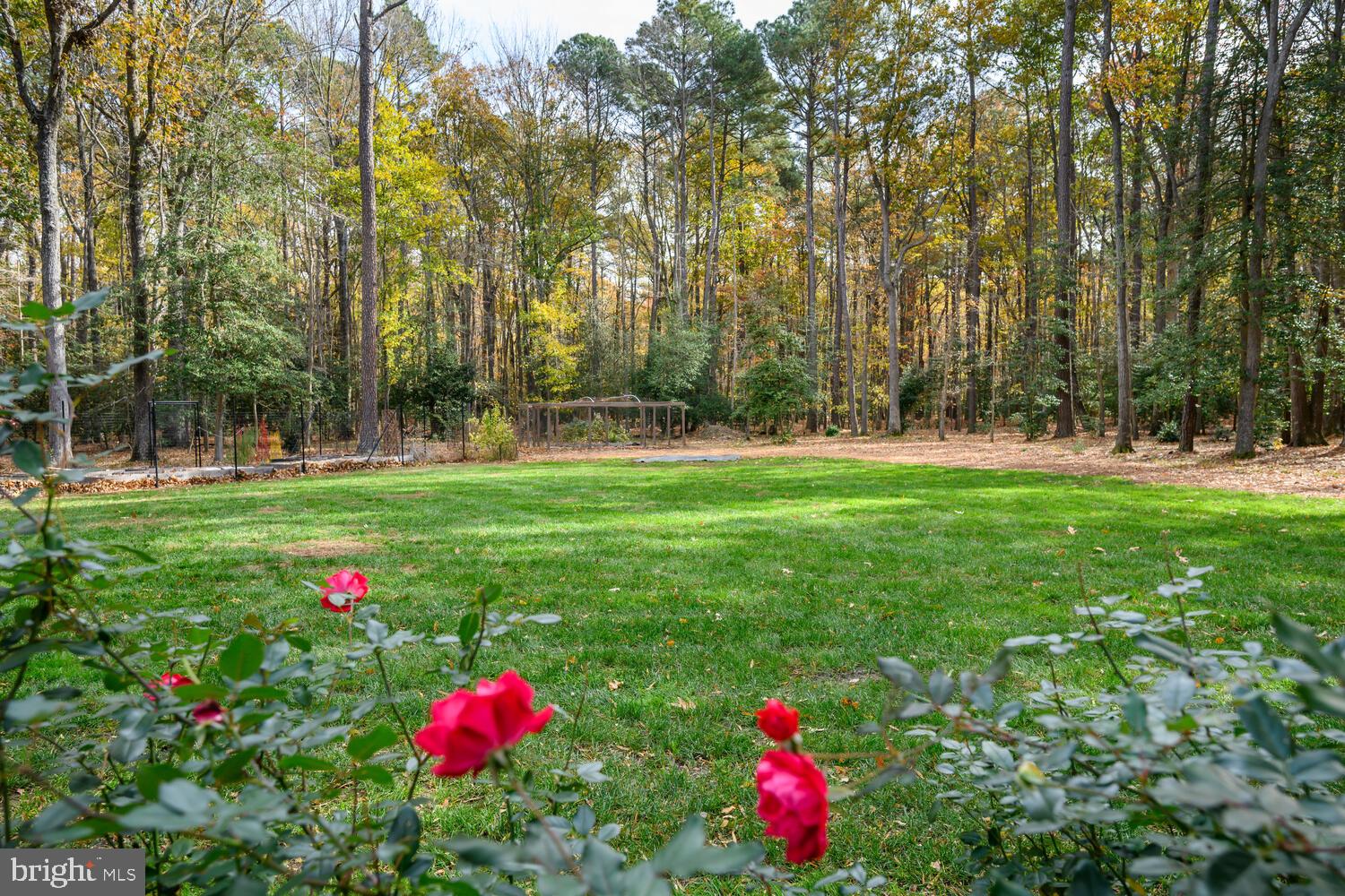 23869 Mt Misery Road St. Michaels, MD 21663 - Photo 14 of 34