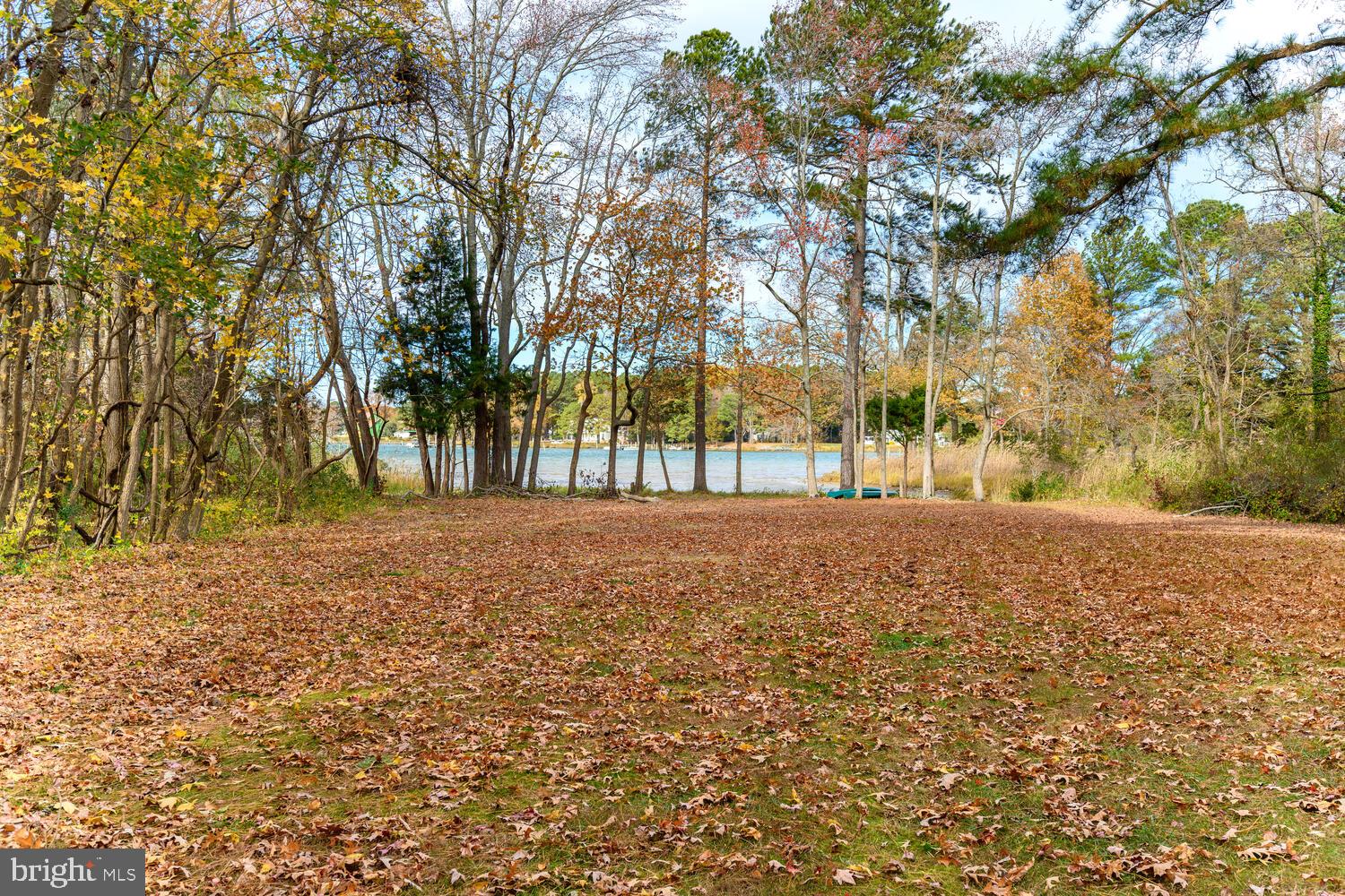 23869 Mt Misery Road St. Michaels, MD 21663 - Photo 4 of 34