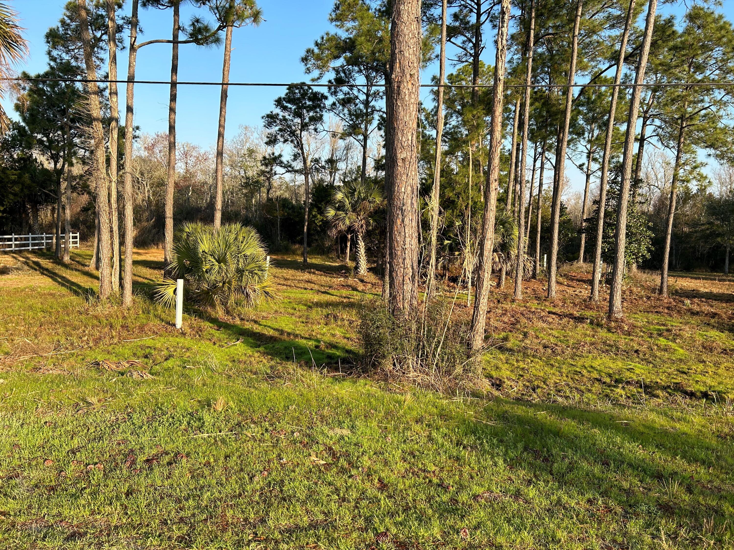 Lot 29 West State Highway Freeport, FL 32439 - Photo 10 of 17 a view of a yard with sitting area