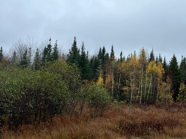 72 Alder Road Orland, ME 04472 - Photo 14 of 14 IMG_5987