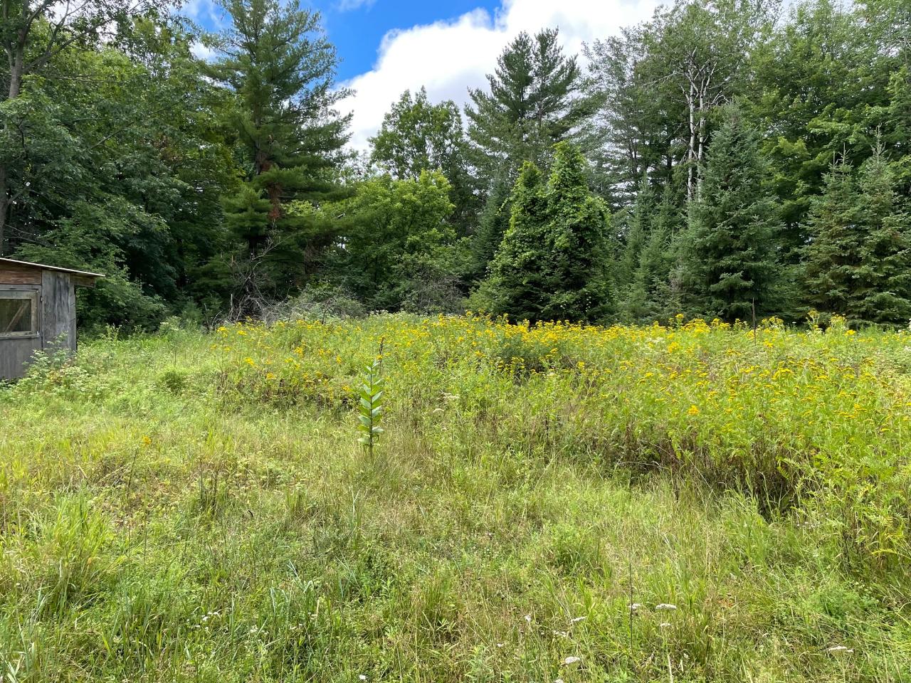 6391 Yocum Road Crandon, WI 54520 - Photo 10 of 30 Gallery Image 10