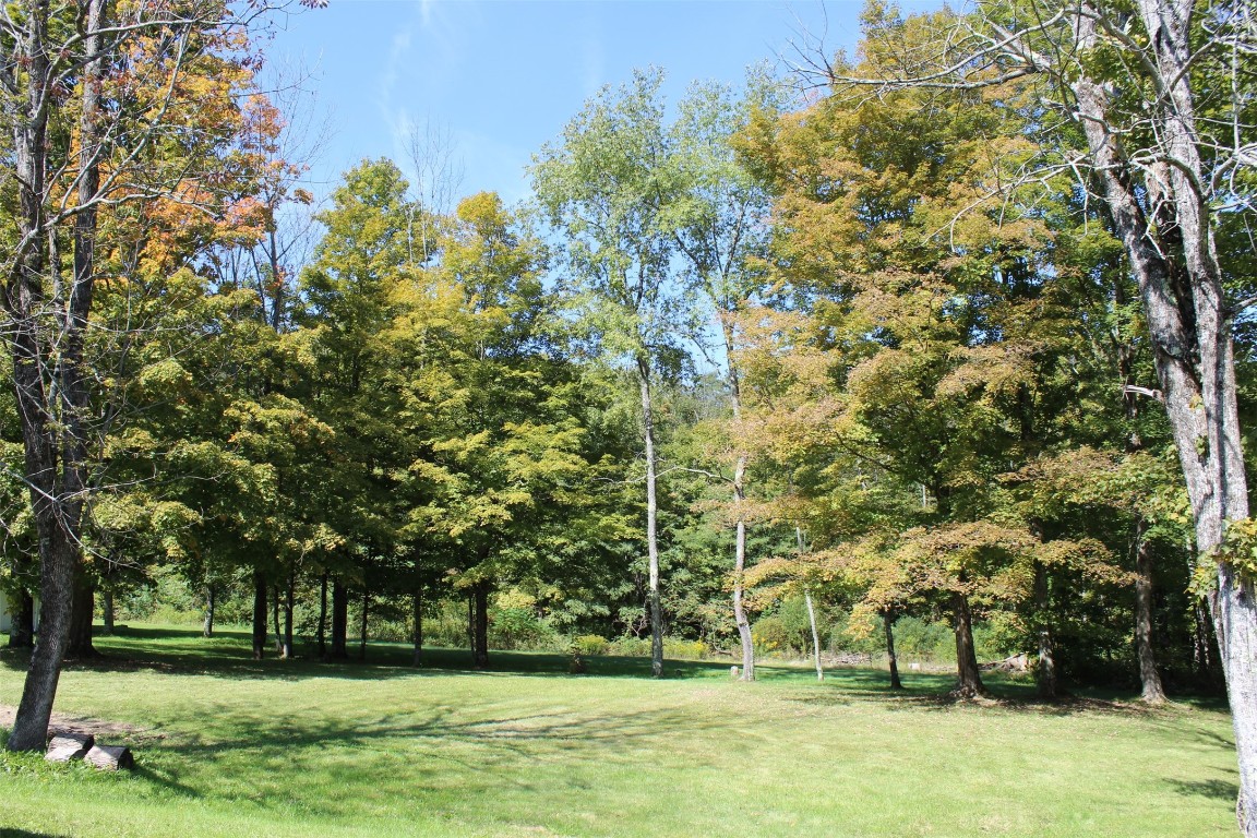515 Hoadley Hill Road Windsor, NY 13865 - Photo 8 of 50