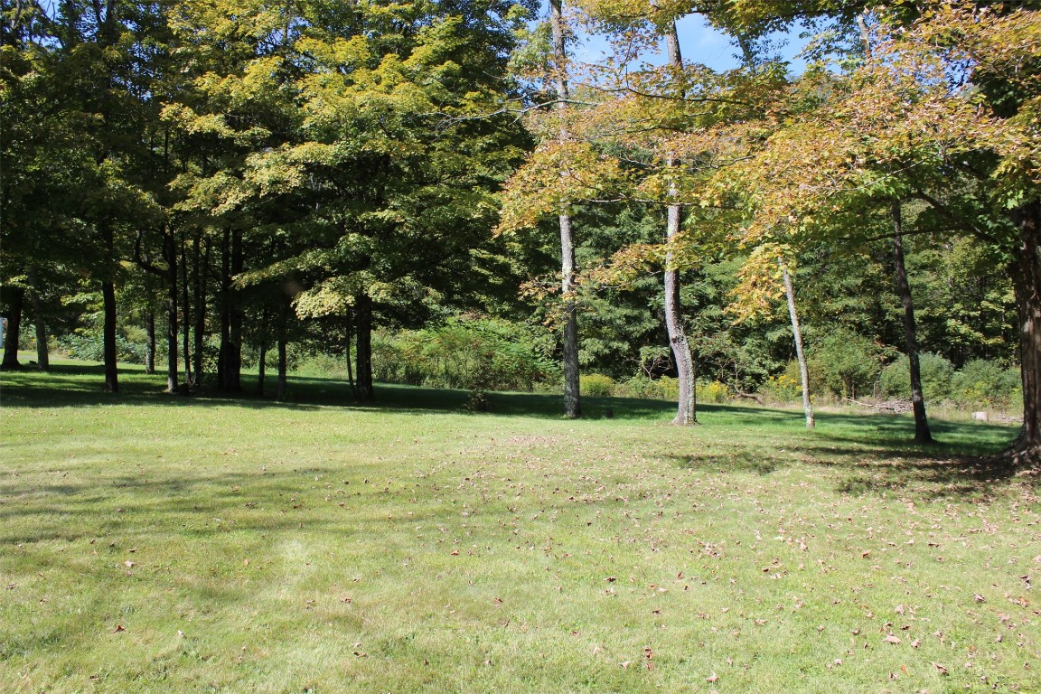 515 Hoadley Hill Road Windsor, NY 13865 - Photo 10 of 50
