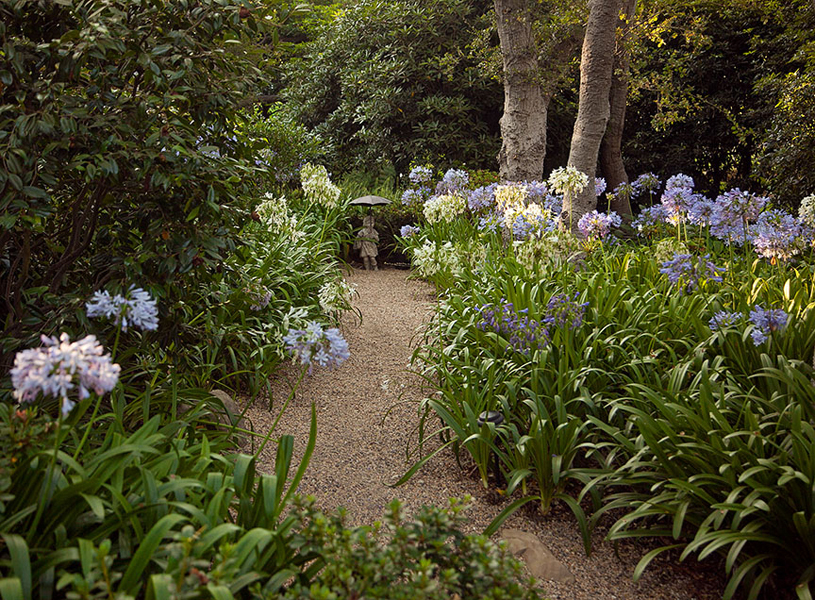 2140 Veloz Drive Montecito, CA 93108 - Photo 14 of 16 a picture of flowers