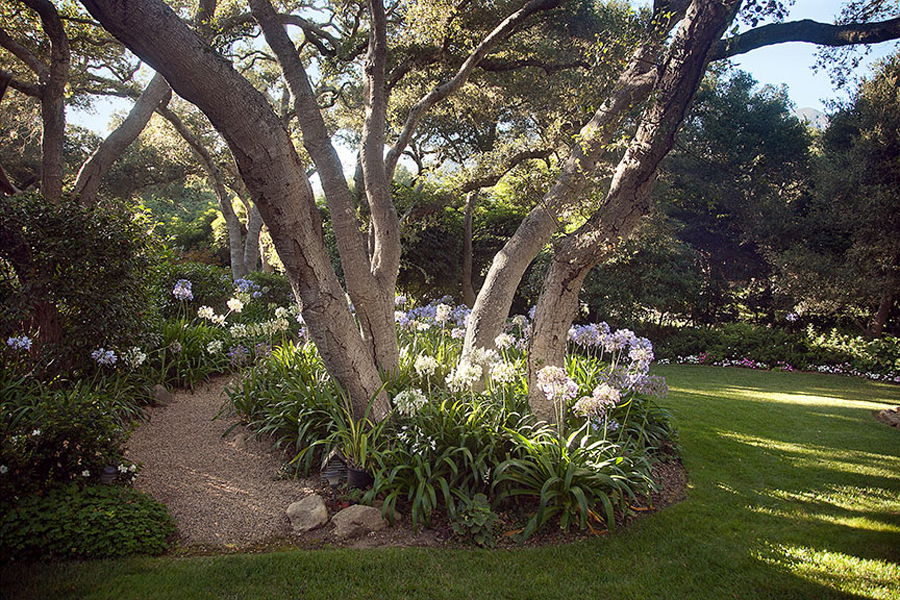 2140 Veloz Drive Montecito, CA 93108 - Photo 16 of 16 a backyard of a house with lots of green space