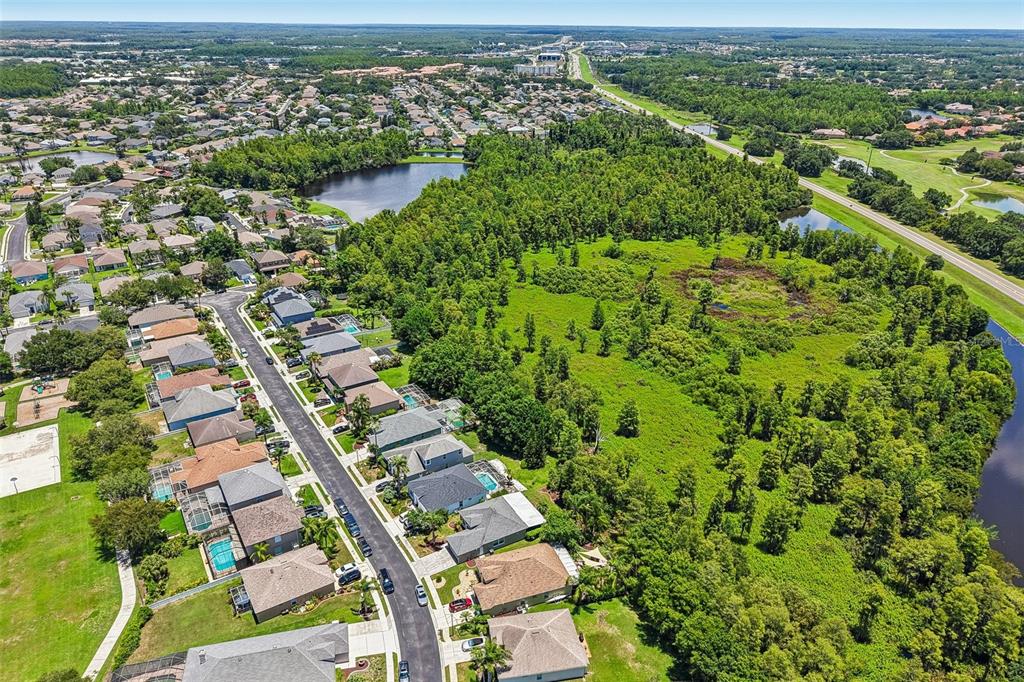 1628 Crossvine Court Trinity, FL 34655 - Photo 57 of 58