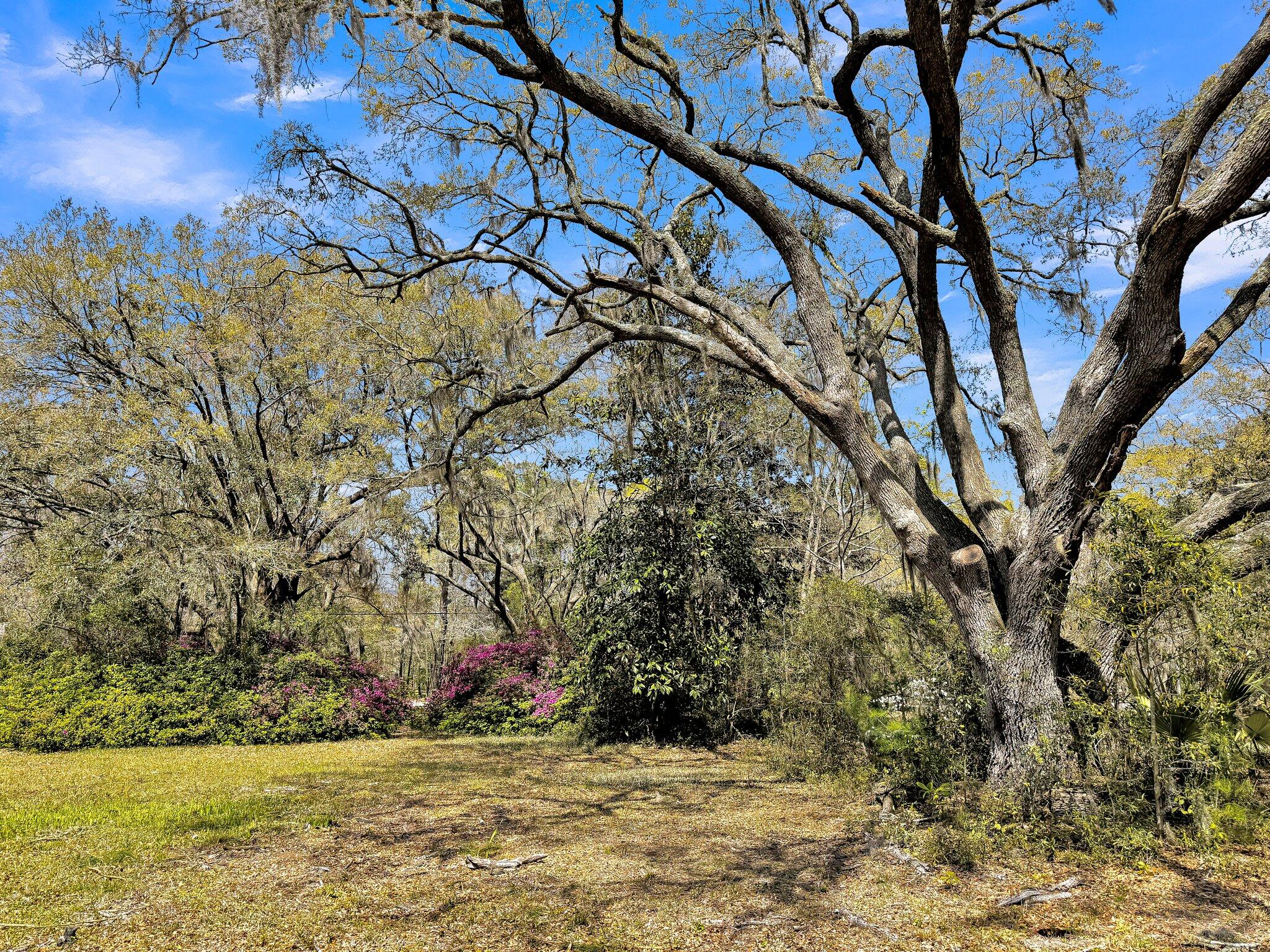 0 Duck Pond Road Johns Island, SC 29455 - Photo 10 of 14 CREM -3205 Duck Pond-1