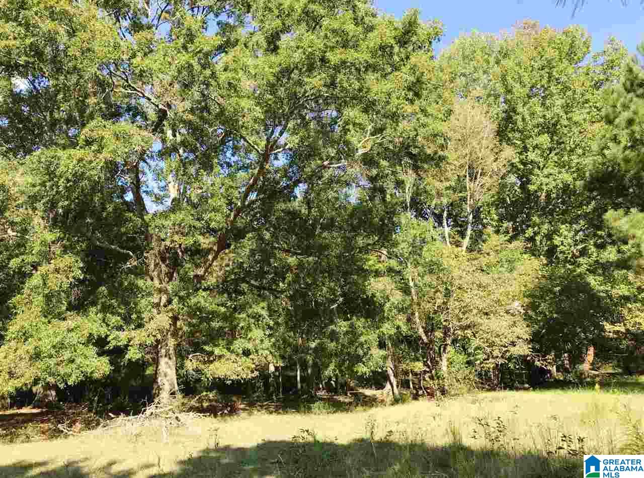 1525 Chelsea Road, Unit 1525 Columbiana, AL 35051 - Photo 15 of 33