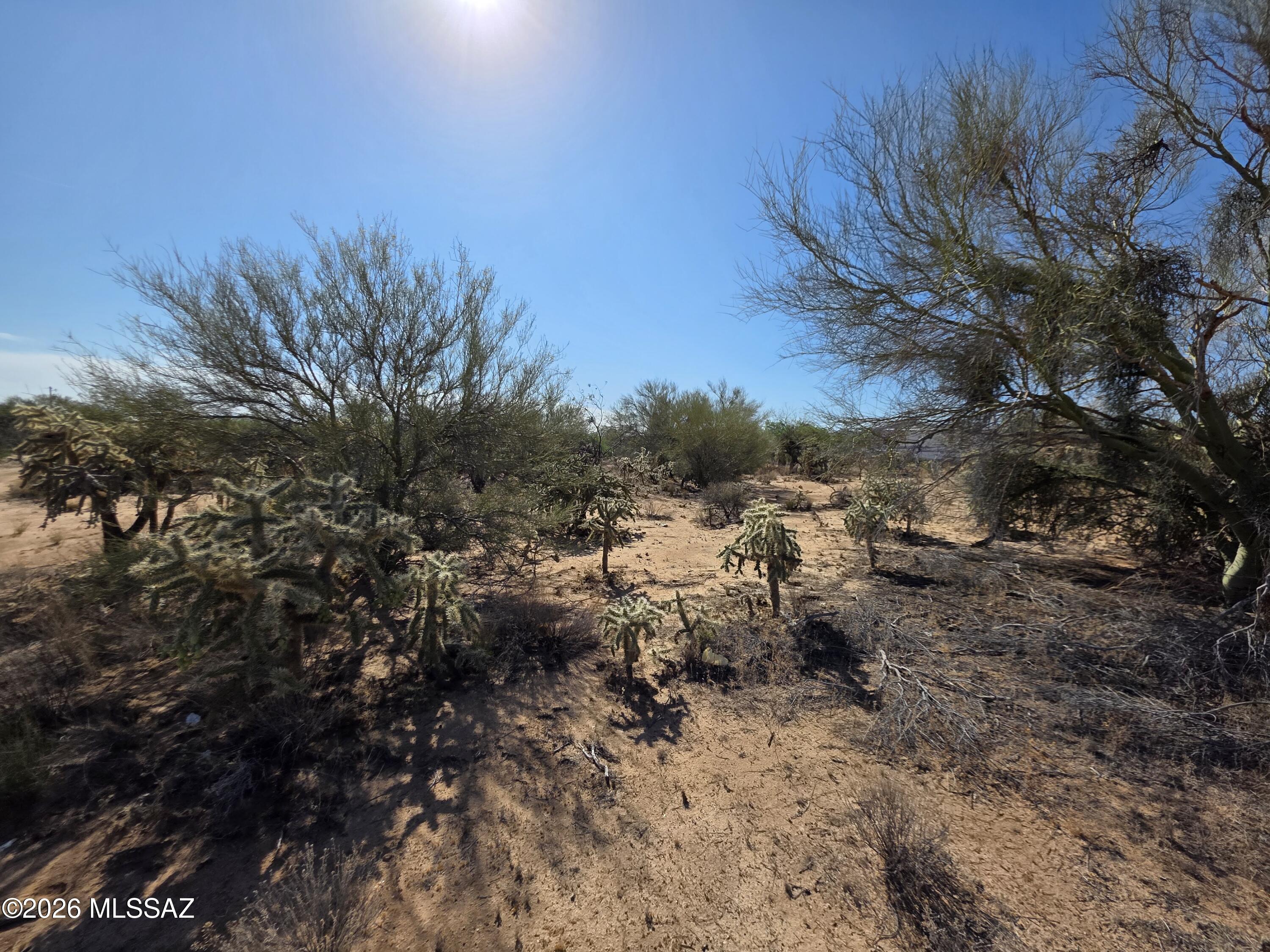 11553 South Wells Fargo Road Tucson, AZ 85736 - Photo 19 of 25 Wells Fargo View 8