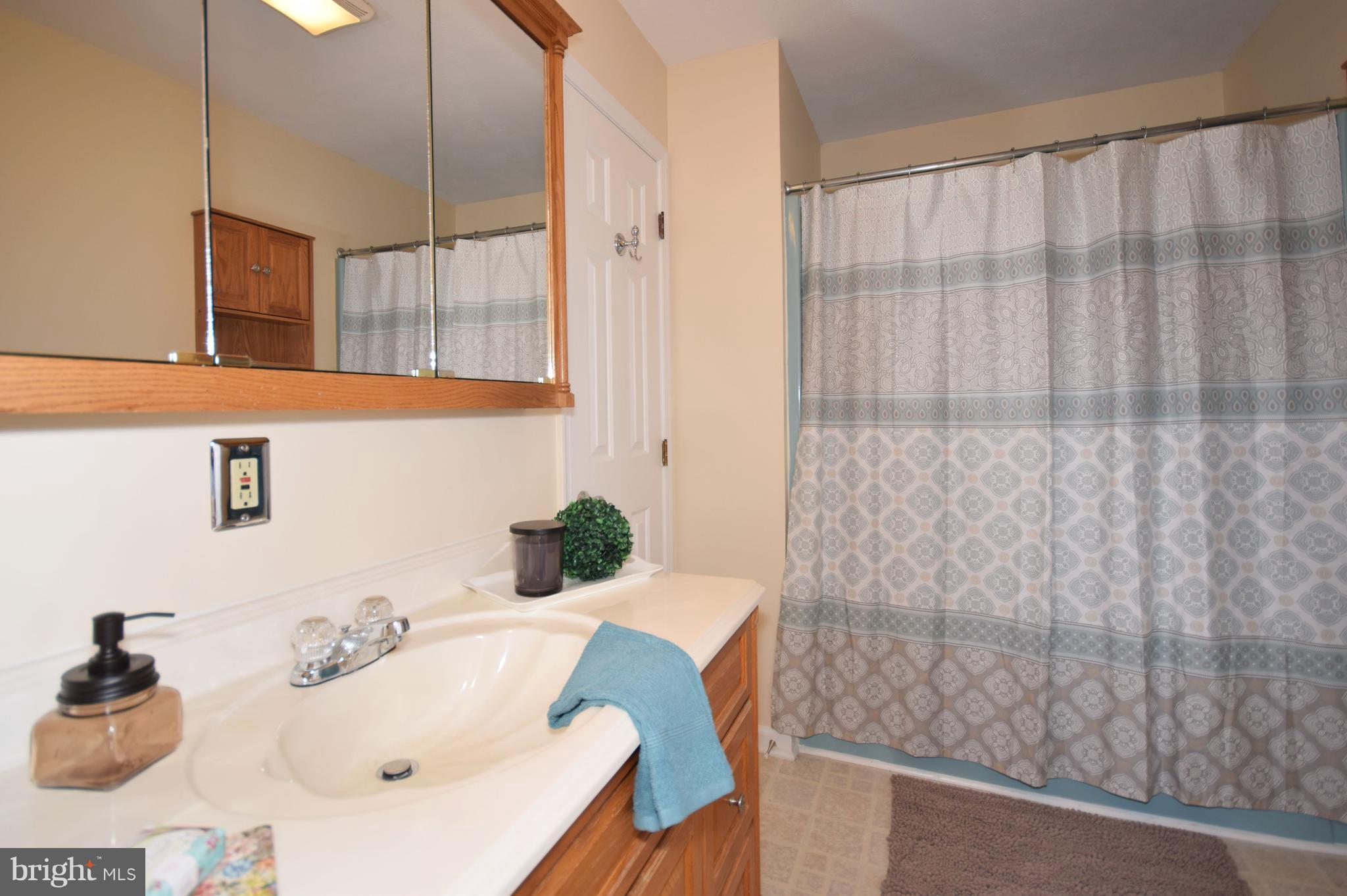 4111 Remount Road Front Royal, VA 22630 - Photo 14 of 30 Bath
