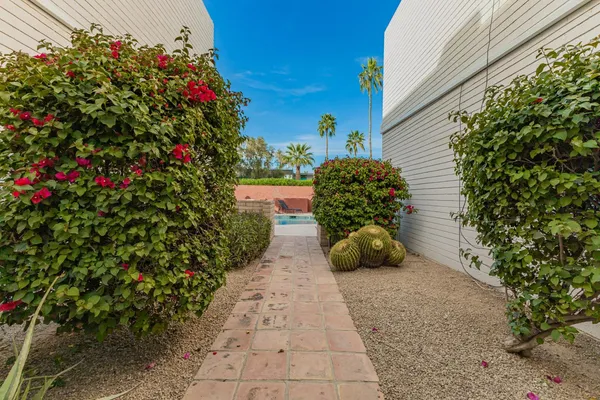 a potted plant sitting in front of a house