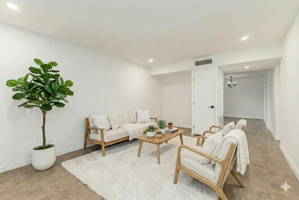 a living room with furniture potted plant and a rug