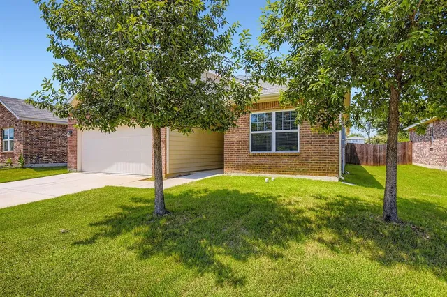 a backyard of a house with plants and large tree