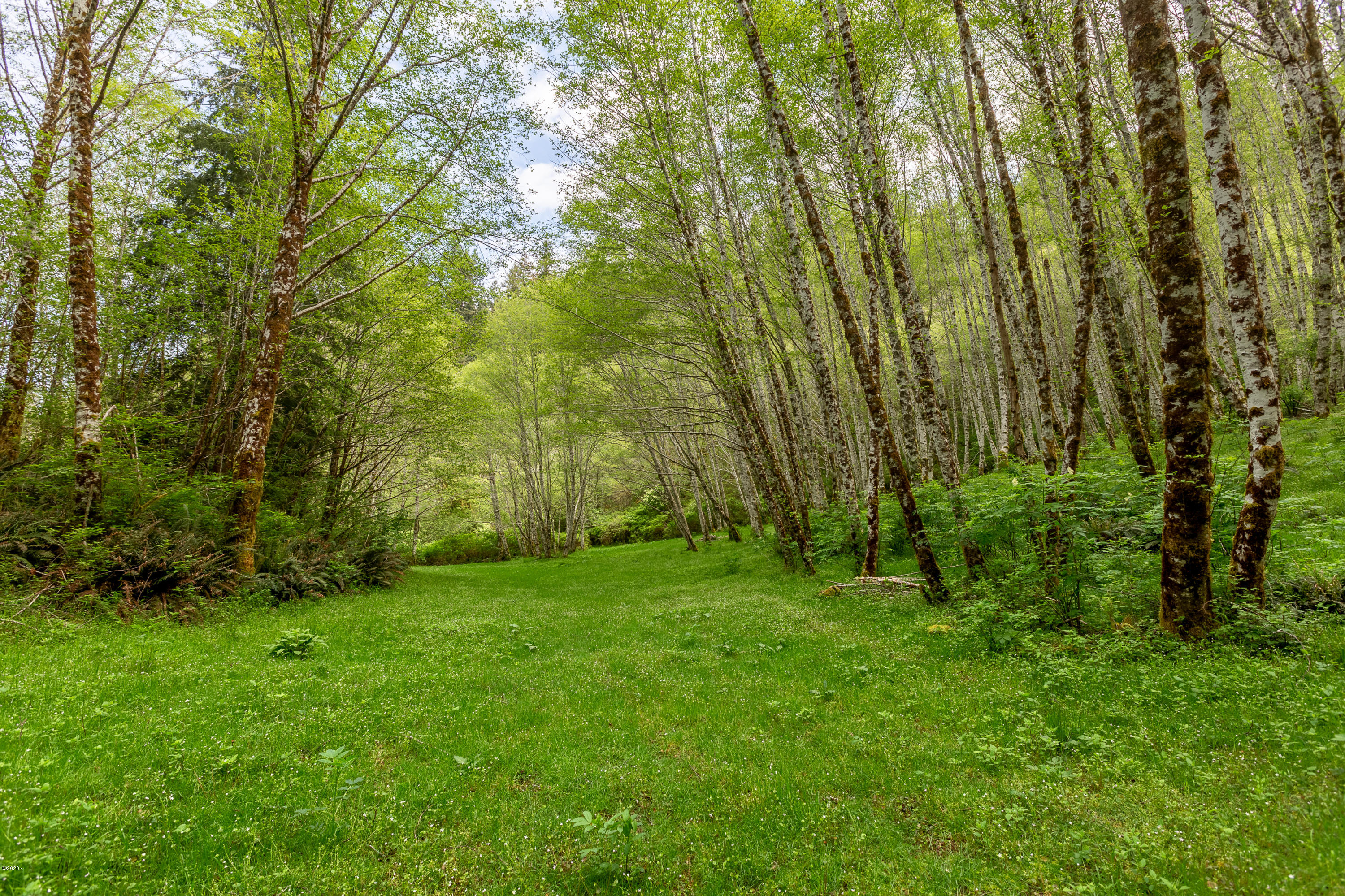 1266 North Yachats River Road Yachats, OR 97498 - Photo 77 of 79 Meadows