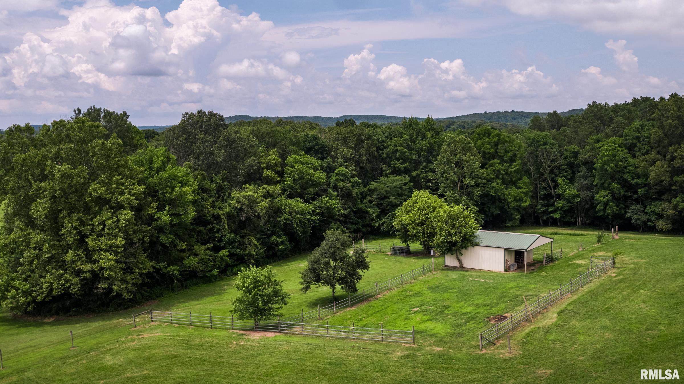 10891 Lick Creek Road Buncombe, IL 62912 - Photo 12 of 31