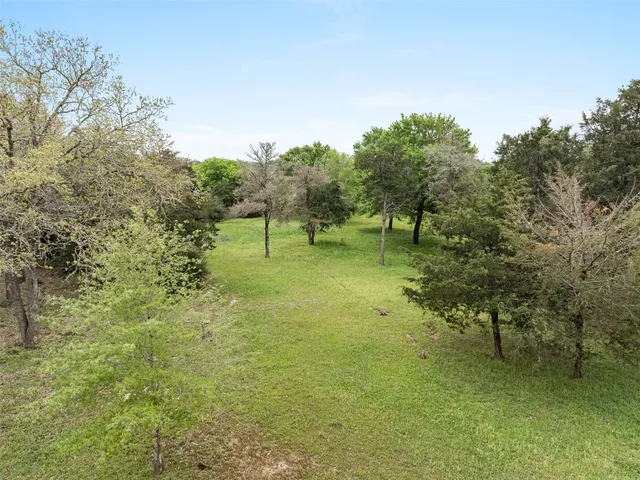 a view of grassy field with trees