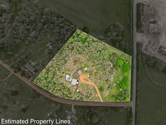 a view of a garden from a window