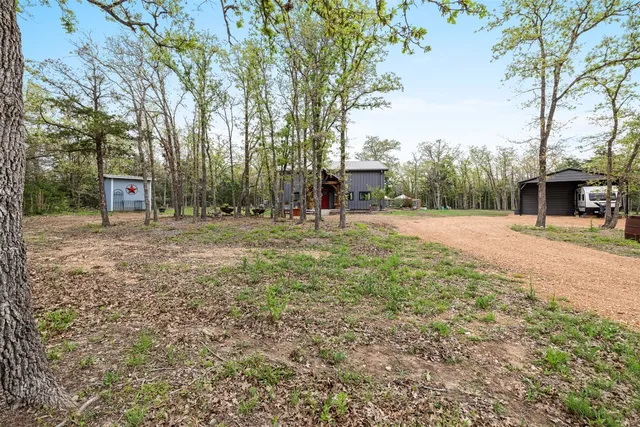 a row of palm trees in front of house