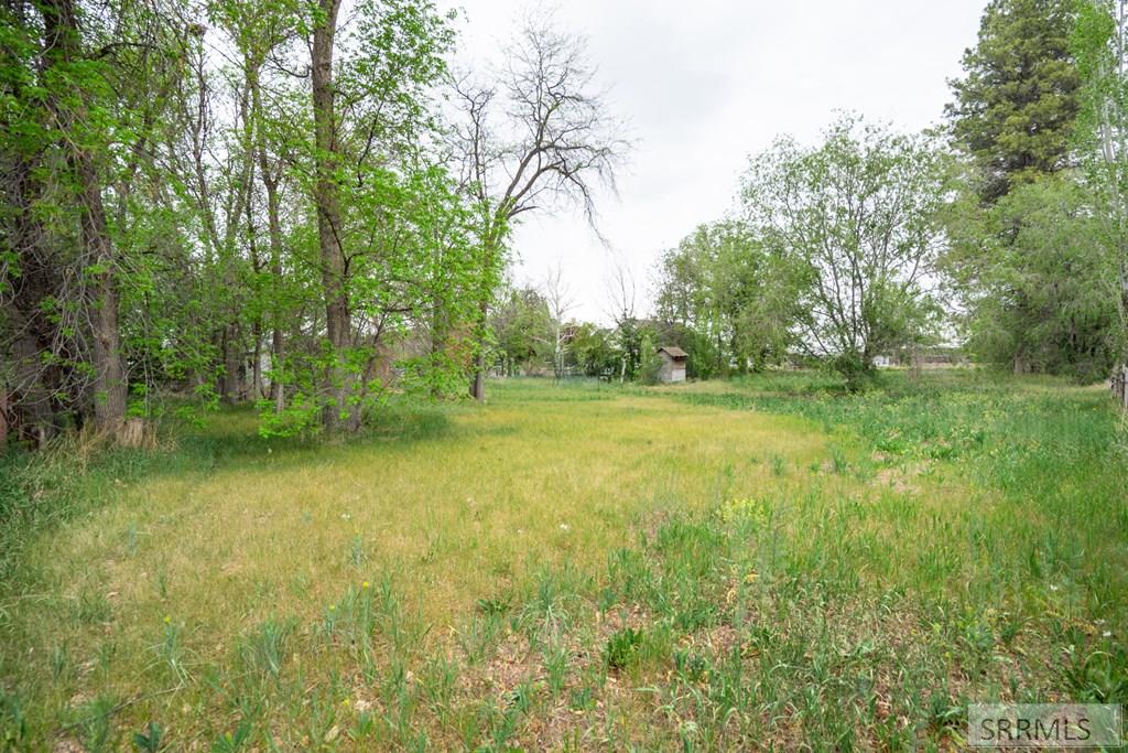 3848 East 200 Road North Rigby, ID 83442 - Photo 49 of 52