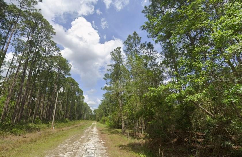 138 Mosswood Street Georgetown, FL 32139 - Photo 1 of 8
