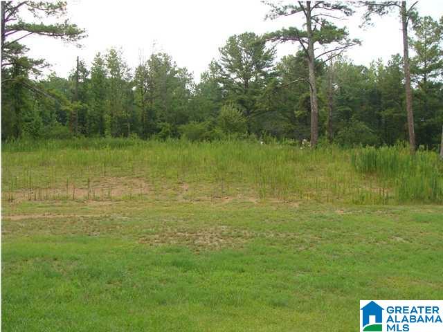 9166 Thermal Road, Unit 1 Warrior, AL 35180 - Photo 1 of 1