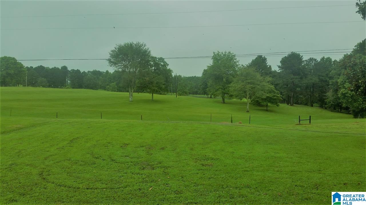 3951 County Road 940 Cullman, AL 35057 - Photo 4 of 17