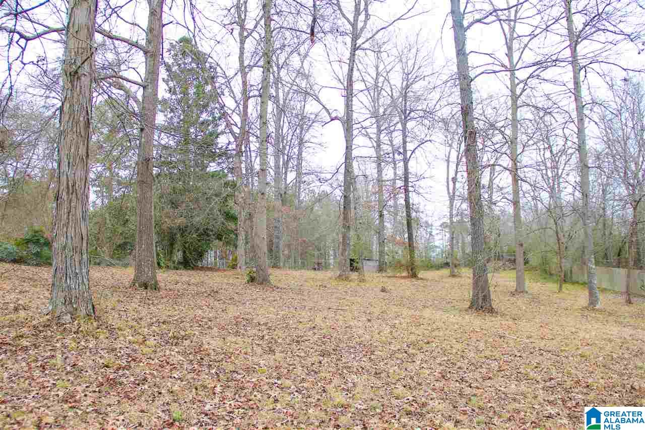 855 Parsons Road Bessemer, AL 35022 - Photo 11 of 41