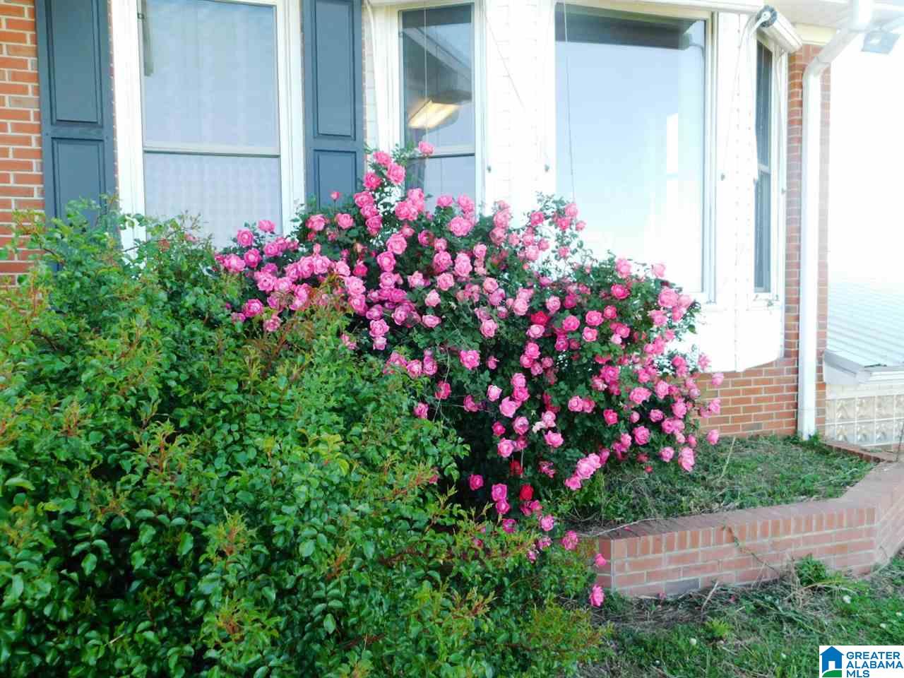 7805 Highway 24 Oneonta Al Oneonta, AL 35121 - Photo 26 of 42