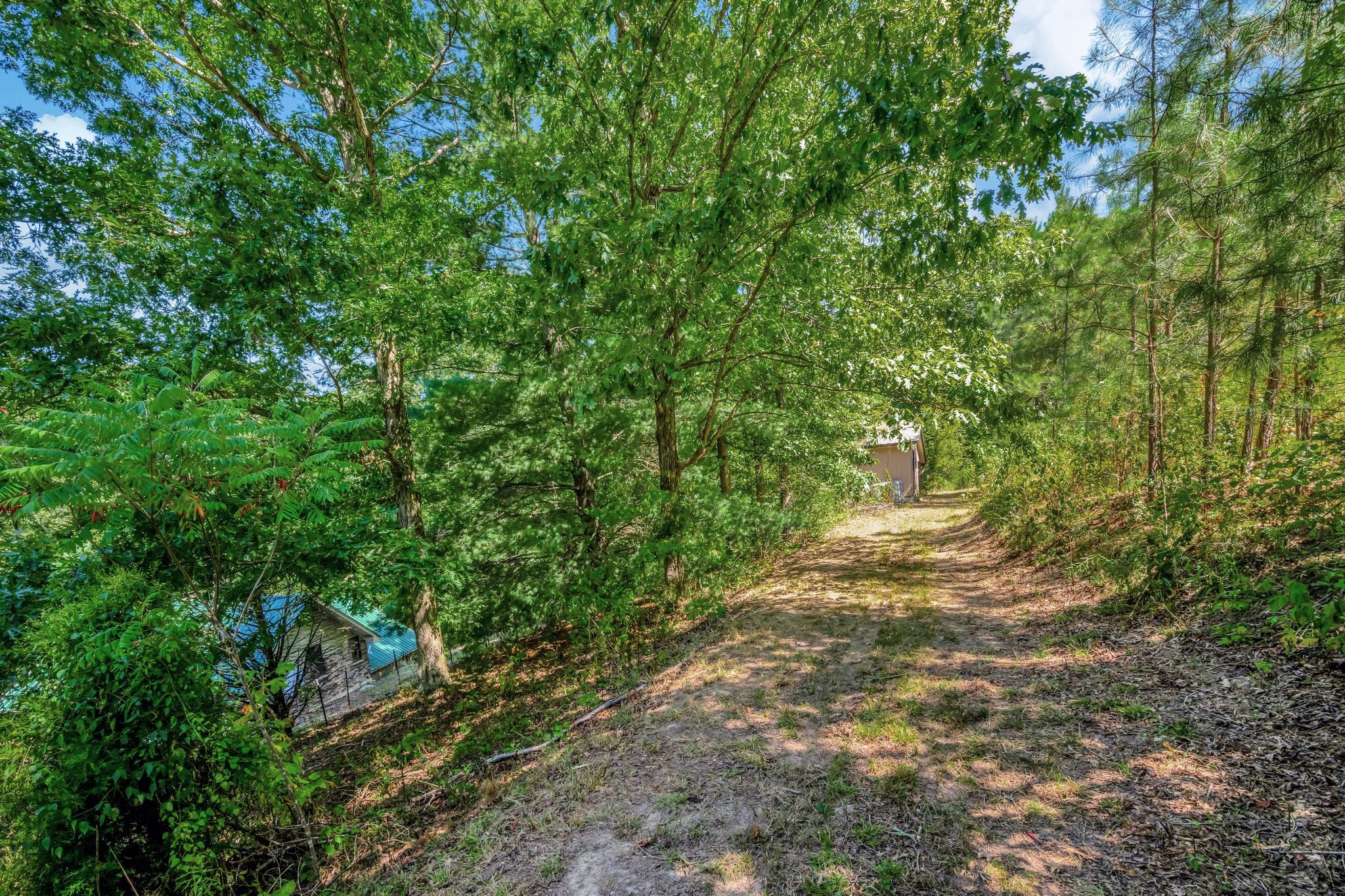 10770 Lakeview Road Bon Aqua, TN 37025 - Photo 28 of 29 Gallery Image 28