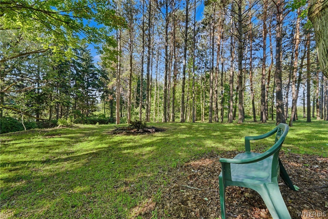 11288 Newell Road Dunkirk, NY 14048 - Photo 44 of 49