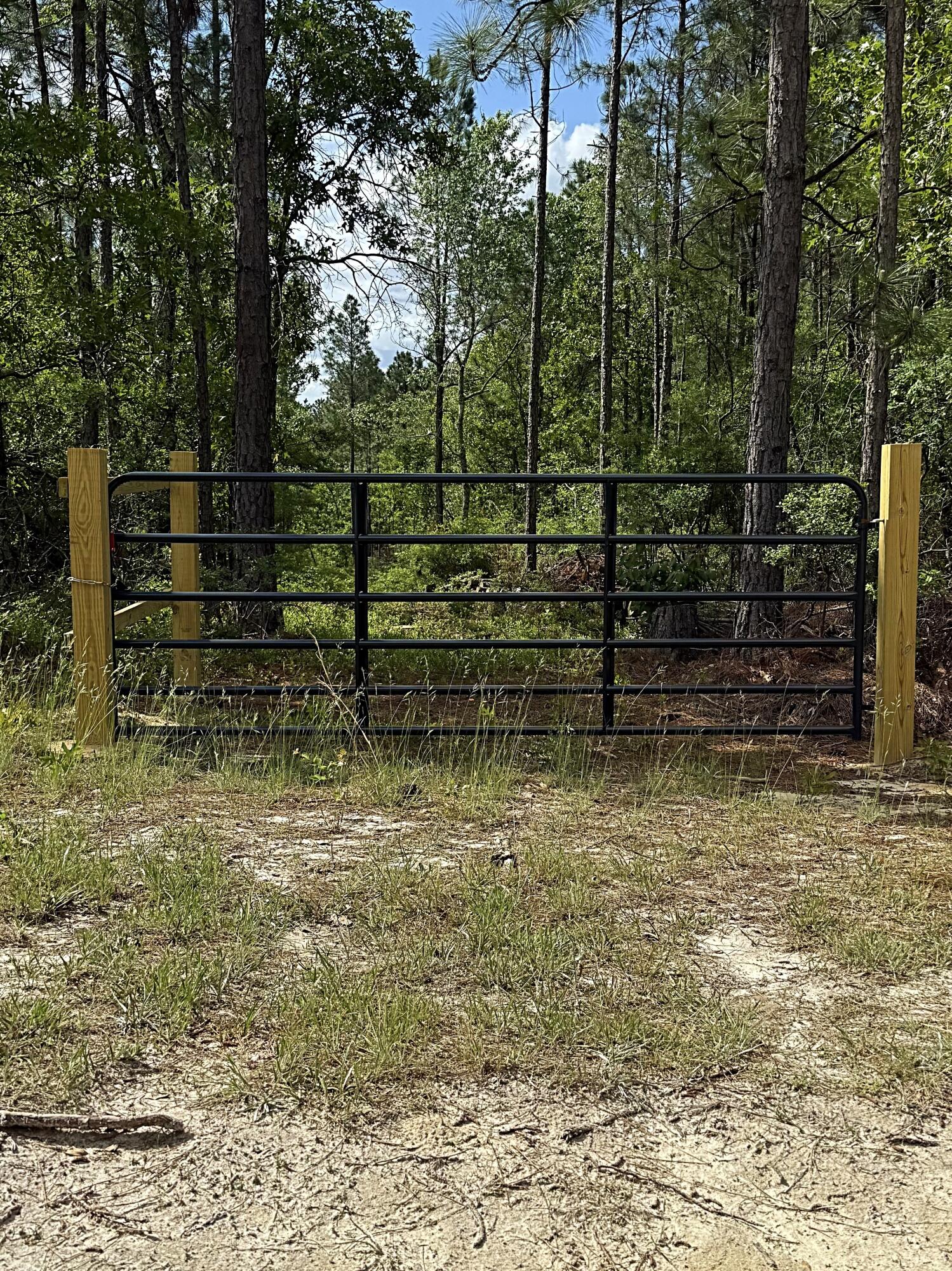 Lot 1 South Sawyer Road Monetta, SC 29105 - Photo 1 of 3