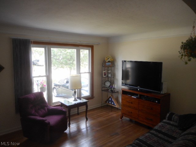 15712 Turney Road Maple Heights, OH 44137 - Photo 7 of 19 LIVING ROOM WITH AN UPDATED PICTURE WINDOW TO LET IN LOTS OF SUNLIGHT !